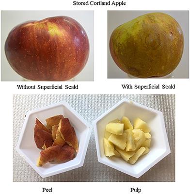 Using Biological Elicitation to Improve Type 2 Diabetes Targeted Food Quality of Stored Apple